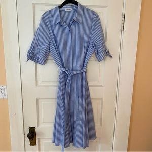 Calvin Klein fitted shirt dress